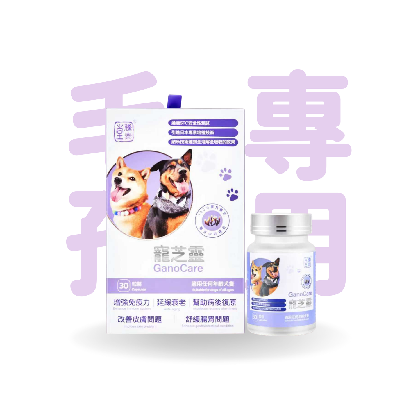 騰泰堂 寵芝靈 (犬隻用)